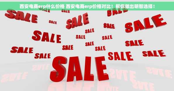 西安电商erp什么价格 西安电商erp价格对比！帮你做出明智选择！