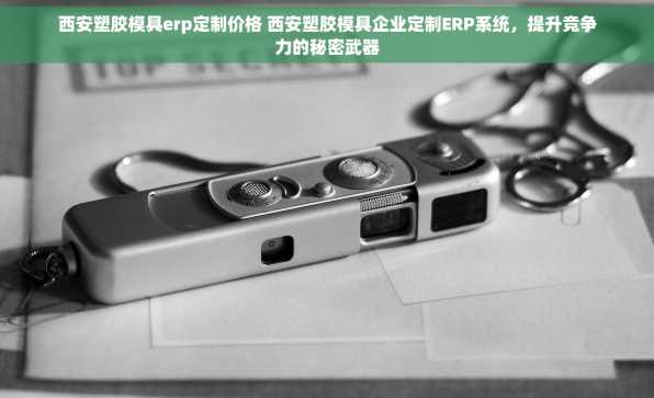 西安塑胶模具erp定制价格 西安塑胶模具企业定制ERP系统，提升竞争力的秘密武器