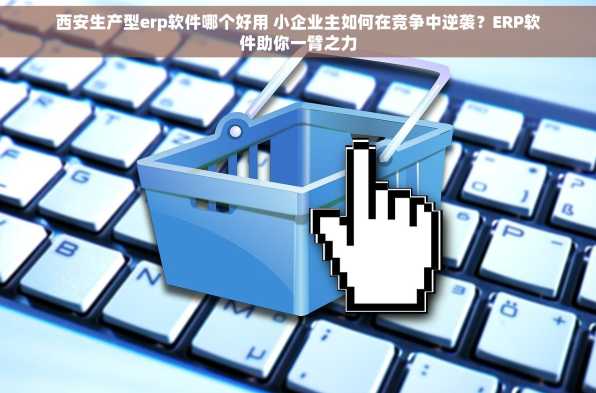 西安生产型erp软件哪个好用 小企业主如何在竞争中逆袭？ERP软件助你一臂之力