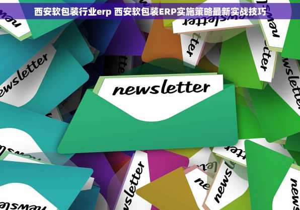 西安软包装行业erp 西安软包装ERP实施策略最新实战技巧