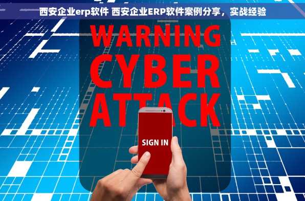 西安企业erp软件 西安企业ERP软件案例分享，实战经验