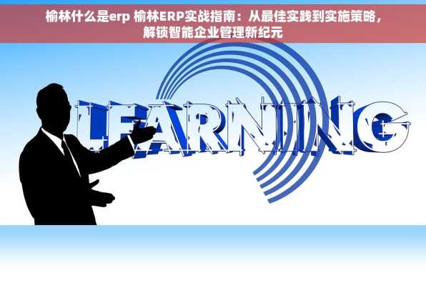 榆林什么是erp 榆林ERP实战指南：从最佳实践到实施策略，解锁智能企业管理新纪元