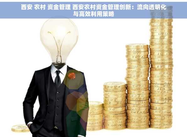 西安 农村 资金管理 西安农村资金管理创新：流向透明化与高效利用策略