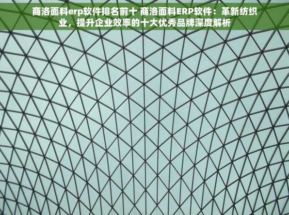 商洛面料erp软件排名前十 商洛面料ERP软件：革新纺织业，提升企业效率的十大优秀品牌深度解析