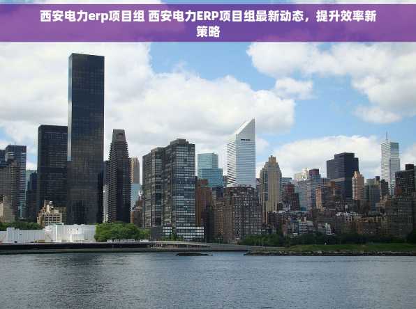 西安电力erp项目组 西安电力ERP项目组最新动态，提升效率新策略