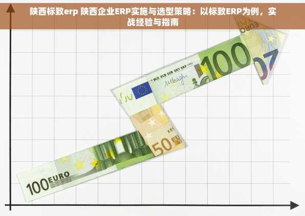 陕西标致erp 陕西企业ERP实施与选型策略：以标致ERP为例，实战经验与指南
