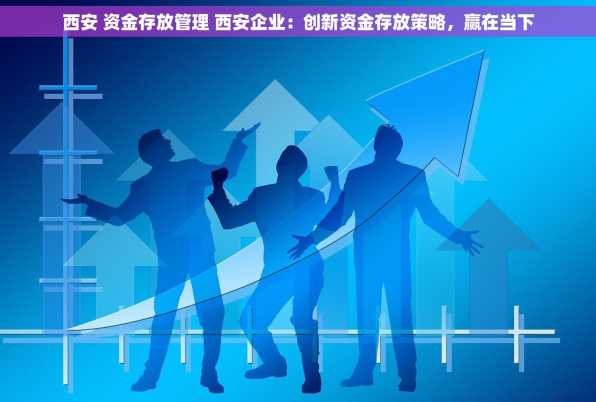 西安 资金存放管理 西安企业：创新资金存放策略，赢在当下