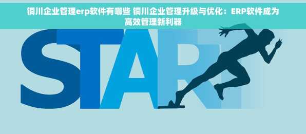 铜川企业管理erp软件有哪些 铜川企业管理升级与优化：ERP软件成为高效管理新利器