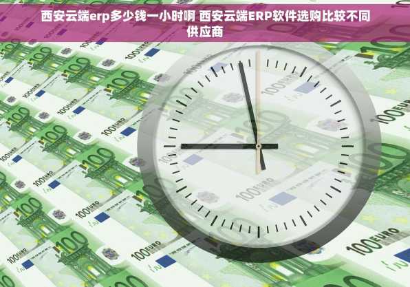 西安云端erp多少钱一小时啊 西安云端ERP软件选购比较不同供应商