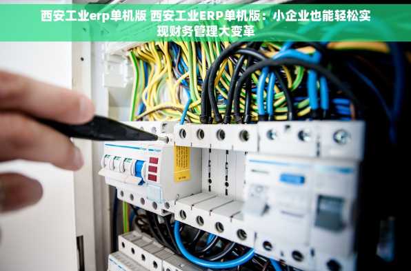 西安工业erp单机版 西安工业ERP单机版：小企业也能轻松实现财务管理大变革