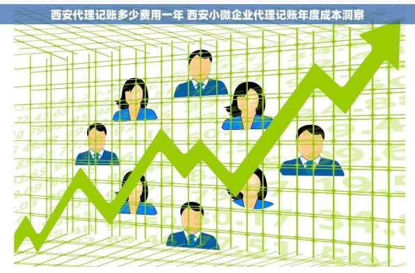 西安代理记账多少费用一年 西安小微企业代理记账年度成本洞察