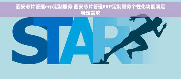 西安芯片管理erp定制服务 西安芯片管理ERP定制服务个性化功能满足特定需求