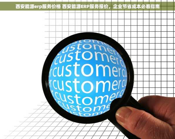 西安能源erp服务价格 西安能源ERP服务报价，企业节省成本必看指南