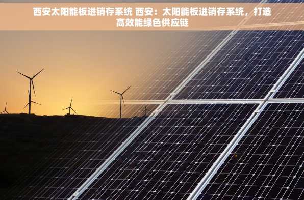 西安太阳能板进销存系统 西安：太阳能板进销存系统，打造高效能绿色供应链