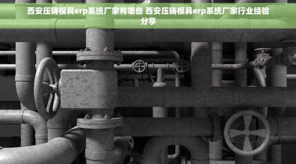 西安压铸模具erp系统厂家有哪些 西安压铸模具erp系统厂家行业经验分享