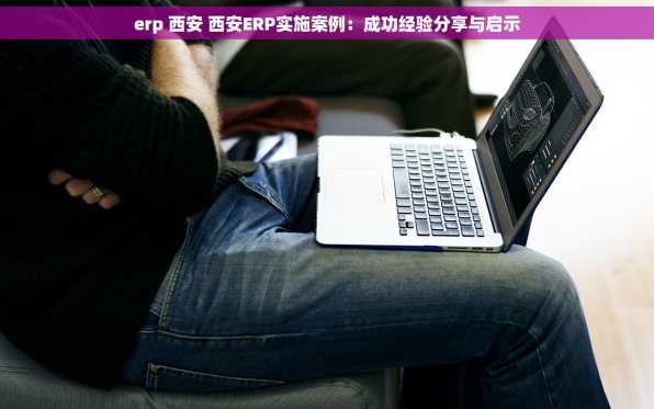 erp 西安 西安ERP实施案例：成功经验分享与启示