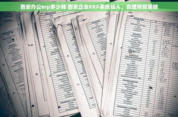 西安办公erp多少钱 西安企业ERP系统投入，合理预算策略