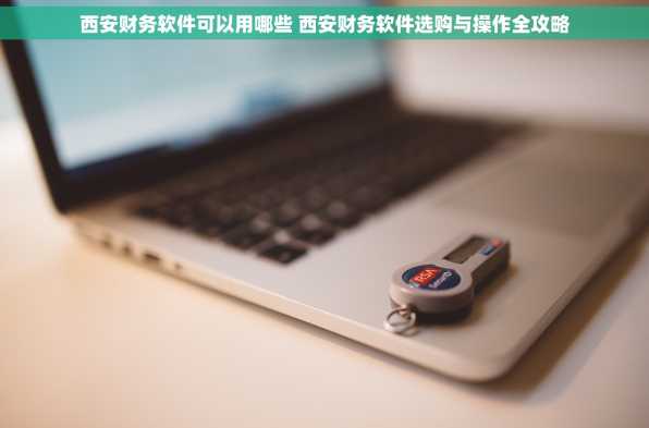 西安财务软件可以用哪些 西安财务软件选购与操作全攻略