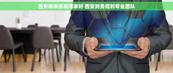 西安做账报税哪家好 西安财务规划专业团队