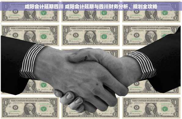 咸阳会计延期四川 咸阳会计延期与四川财务分析、规划全攻略