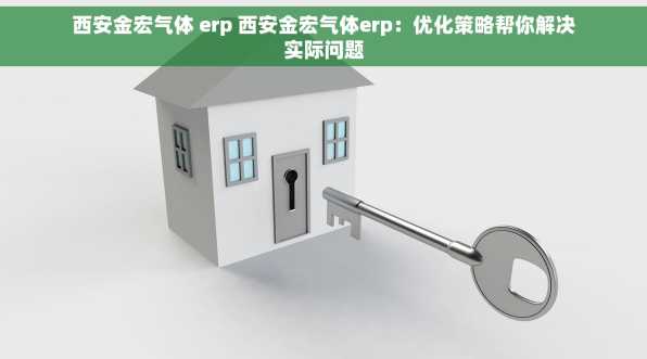 西安金宏气体 erp 西安金宏气体erp：优化策略帮你解决实际问题