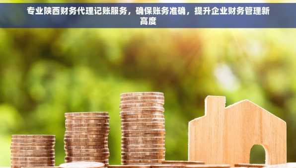 专业陕西财务代理记账服务，确保账务准确，提升企业财务管理新高度