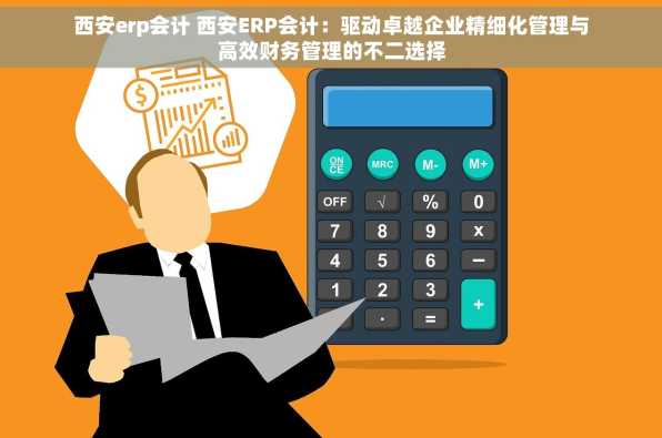 西安erp会计 西安ERP会计：驱动卓越企业精细化管理与高效财务管理的不二选择
