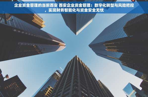 企业资金管理的当前西安 西安企业资金管理：数字化转型与风险把控，实现财务智能化与资金安全无忧