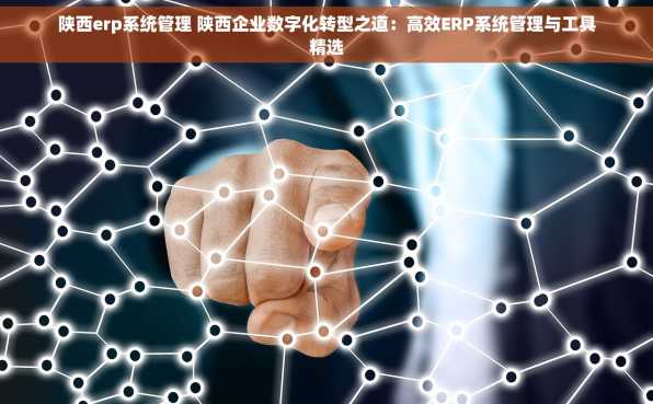 陕西erp系统管理 陕西企业数字化转型之道：高效ERP系统管理与工具精选