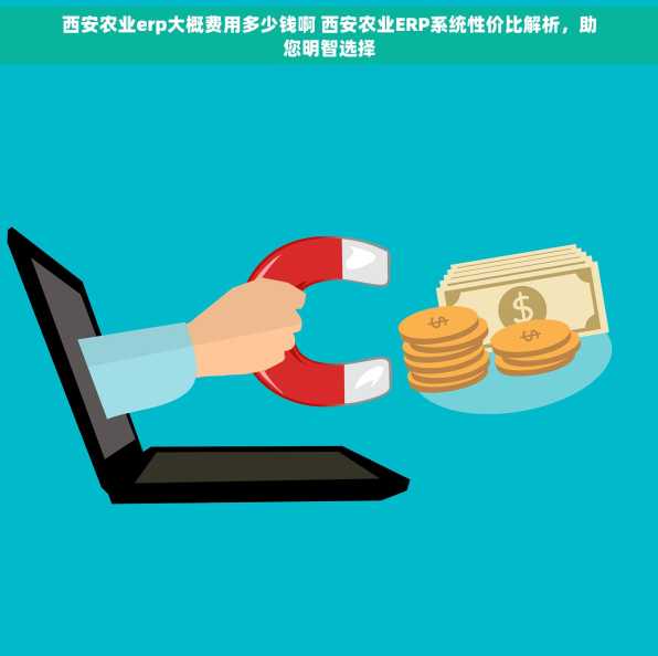 西安农业erp大概费用多少钱啊 西安农业ERP系统性价比解析，助您明智选择