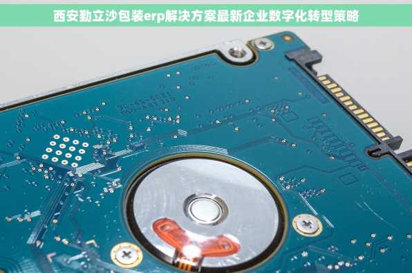 西安勤立沙包装erp解决方案最新企业数字化转型策略