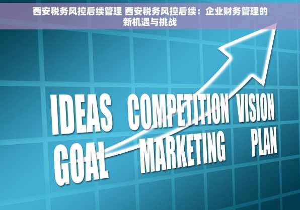 西安税务风控后续管理 西安税务风控后续：企业财务管理的新机遇与挑战