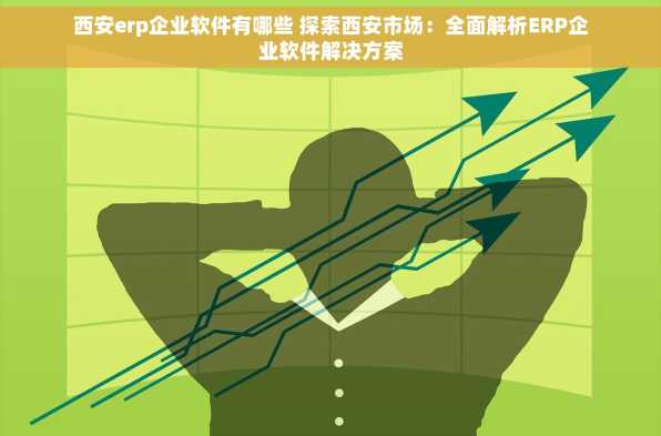 西安erp企业软件有哪些 探索西安市场：全面解析ERP企业软件解决方案