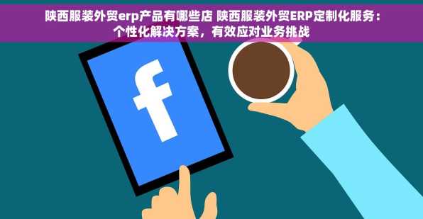 陕西服装外贸erp产品有哪些店 陕西服装外贸ERP定制化服务：个性化解决方案，有效应对业务挑战