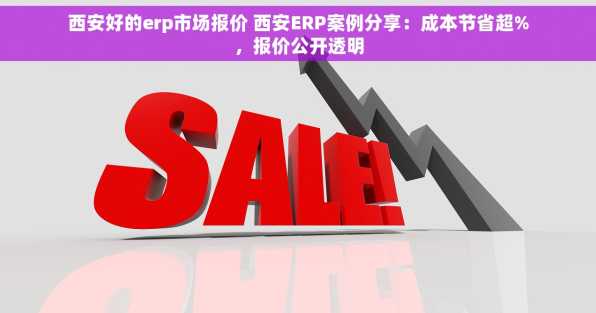 西安好的erp市场报价 西安ERP案例分享：成本节省超%，报价公开透明