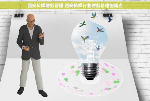 西安传媒财务管理 西安传媒行业财务管理创新点