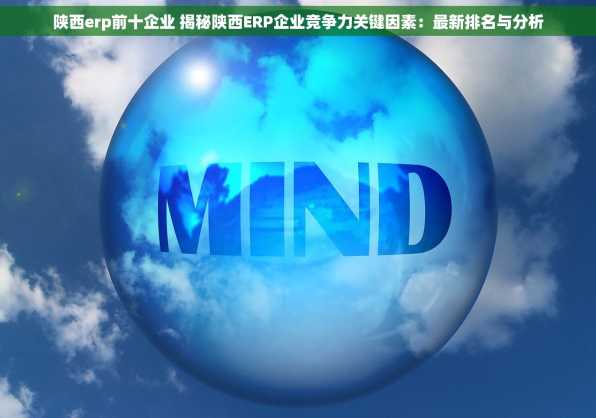 陕西erp前十企业 揭秘陕西ERP企业竞争力关键因素：最新排名与分析