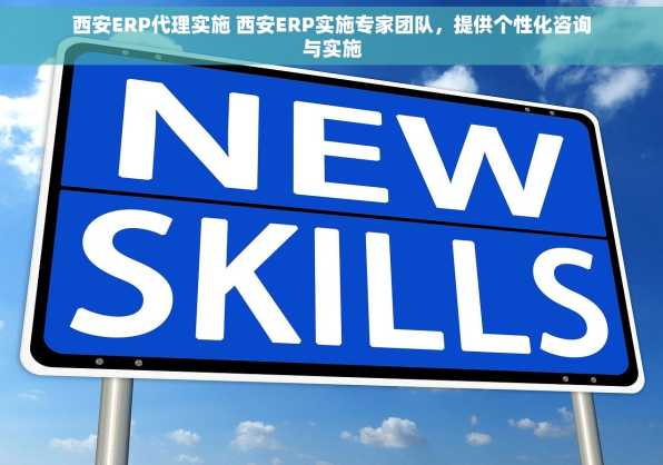 西安ERP代理实施 西安ERP实施专家团队，提供个性化咨询与实施