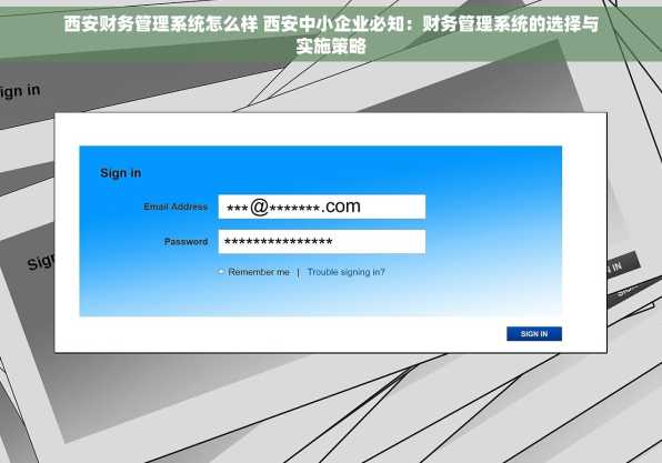 西安财务管理系统怎么样 西安中小企业必知：财务管理系统的选择与实施策略