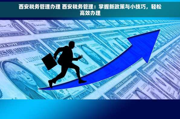 西安税务管理办理 西安税务管理：掌握新政策与小技巧，轻松高效办理