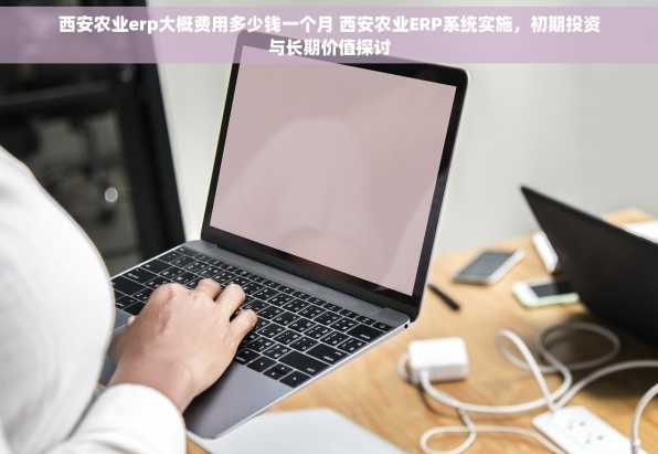 西安农业erp大概费用多少钱一个月 西安农业ERP系统实施，初期投资与长期价值探讨