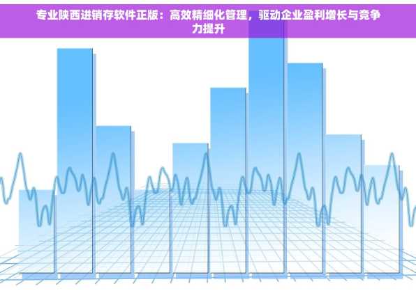 专业陕西进销存软件正版：高效精细化管理，驱动企业盈利增长与竞争力提升