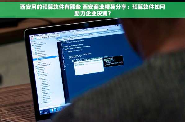 西安用的预算软件有那些 西安商业精英分享：预算软件如何助力企业决策？