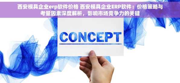 西安模具企业erp软件价格 西安模具企业ERP软件：价格策略与考量因素深度解析，影响市场竞争力的关键