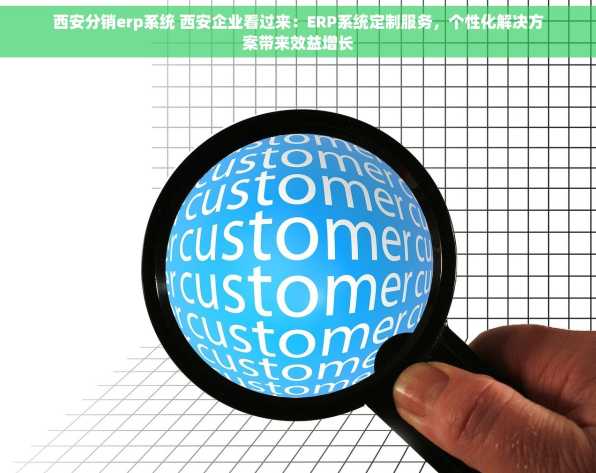 西安分销erp系统 西安企业看过来：ERP系统定制服务，个性化解决方案带来效益增长