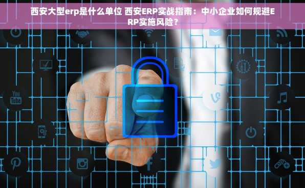西安大型erp是什么单位 西安ERP实战指南：中小企业如何规避ERP实施风险？