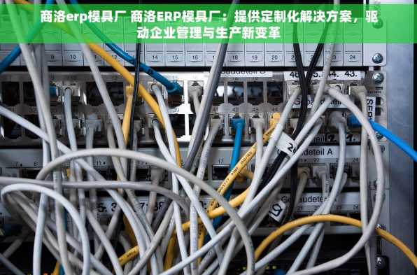 商洛erp模具厂 商洛ERP模具厂：提供定制化解决方案，驱动企业管理与生产新变革