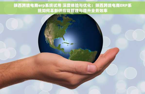 陕西跨境电商erp系统试用 深度体验与优化：陕西跨境电商ERP系统如何革新供应链管理与提升业务效率
