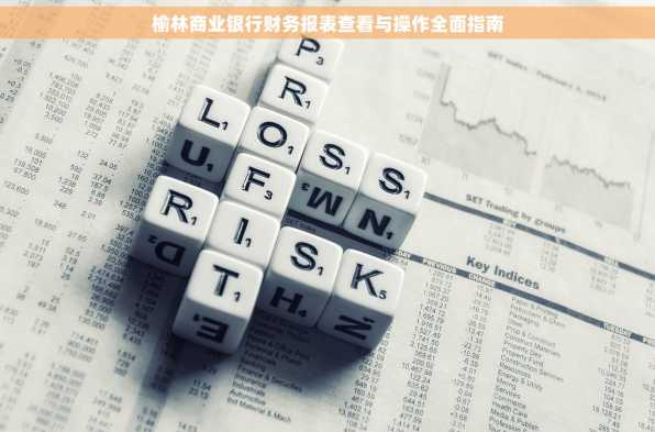 榆林商业银行财务报表查看与操作全面指南