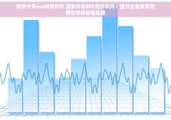 西安外采erp财务软件 西安外采ERP财务软件：提升企业财务管理效率的秘密武器